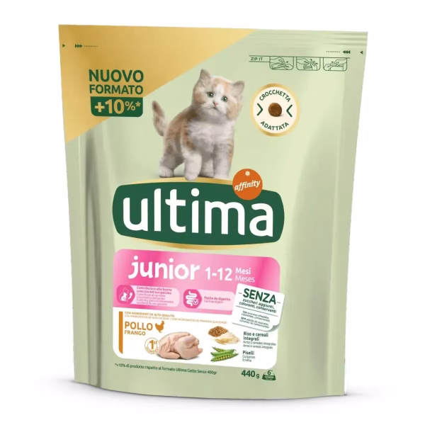 Ultima Cat Junior