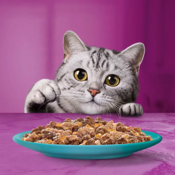 Whiskas Pranzetti Cat Busta Multipack 6x50G - immagine 2