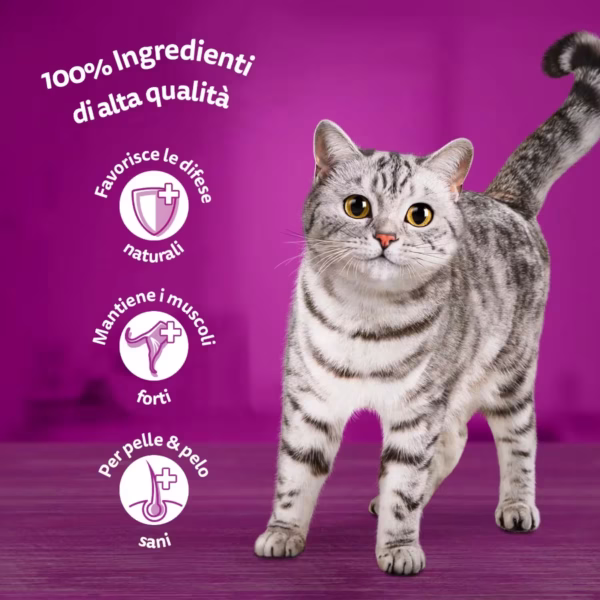 Whiskas Pranzetti Cat Busta Multipack 6x50G - immagine 3